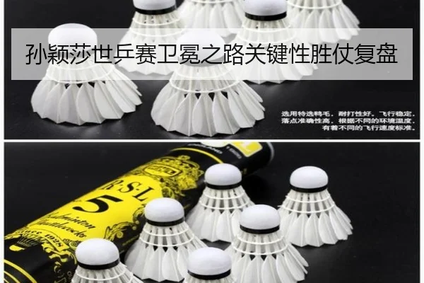 孙颖莎世乒赛卫冕之路关键性胜仗复盘